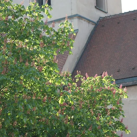 Bed & Breakfast Quai 17